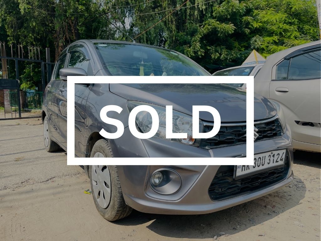 celerio-2019-grey
